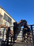 宇都宮動物園に投稿された画像（2025/12/30）