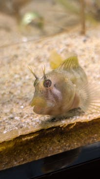 仙台うみの杜水族館に投稿された画像（2025/12/30）