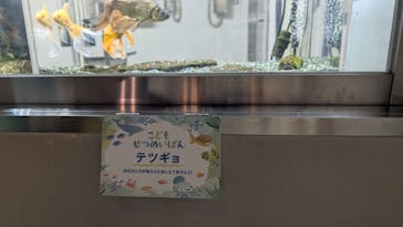 仙台うみの杜水族館に投稿された画像（2025/12/30）