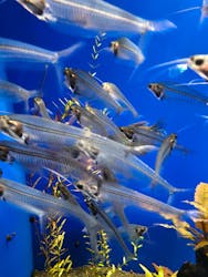 サンシャイン水族館に投稿された画像（2025/12/30）