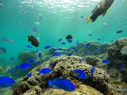 武藤潜水に投稿された画像（2025/12/30）