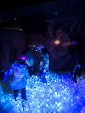 那須ハイランドパークに投稿された画像（2025/12/30）