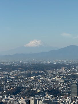 横浜ランドマークタワー 69階展望フロア スカイガーデンに投稿された画像（2025/12/30）