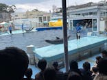 越前松島水族館に投稿された画像（2025/12/30）