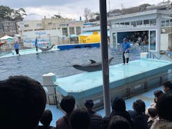 越前松島水族館に投稿された画像（2025/12/30）
