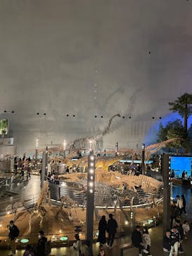 福井県立恐竜博物館に投稿された画像（2025/12/30）