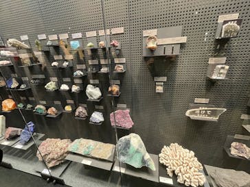 福井県立恐竜博物館に投稿された画像（2025/12/30）