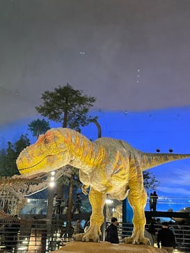 福井県立恐竜博物館に投稿された画像（2025/12/30）