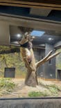 恩賜上野動物園に投稿された画像（2025/12/30）