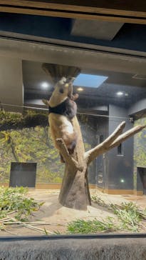 恩賜上野動物園に投稿された画像（2025/12/30）