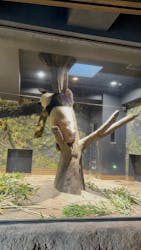 恩賜上野動物園に投稿された画像（2025/12/30）