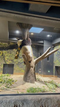 恩賜上野動物園に投稿された画像（2025/12/30）