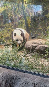 恩賜上野動物園に投稿された画像（2025/12/30）