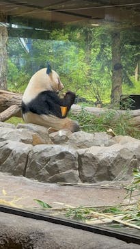 恩賜上野動物園に投稿された画像（2025/12/30）