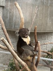 淡路ファームパーク イングランドの丘に投稿された画像（2025/12/30）