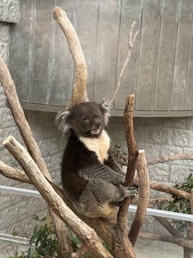 淡路ファームパーク イングランドの丘に投稿された画像（2025/12/30）