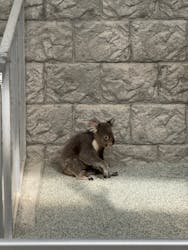 淡路ファームパーク イングランドの丘に投稿された画像（2025/12/30）