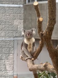 淡路ファームパーク イングランドの丘に投稿された画像（2025/12/30）