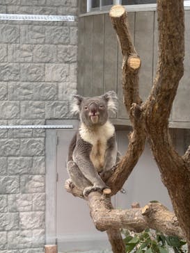 淡路ファームパーク イングランドの丘に投稿された画像（2025/12/30）