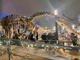 福井県立恐竜博物館に投稿された画像（2025/12/30）