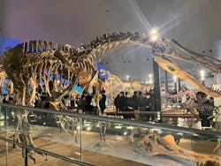 福井県立恐竜博物館に投稿された画像（2025/12/30）