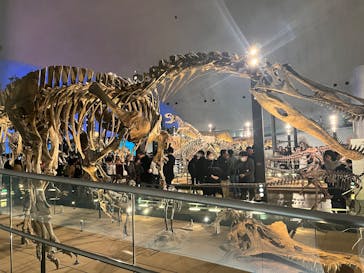 福井県立恐竜博物館に投稿された画像（2025/12/30）