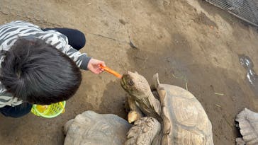 ANIMAL WONDER REZOURT 市原ぞうの国・サユリワールドに投稿された画像（2025/12/30）