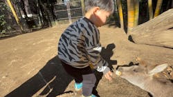 ANIMAL WONDER REZOURT 市原ぞうの国・サユリワールドに投稿された画像（2025/12/30）