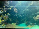 環境水族館アクアマリンふくしまに投稿された画像（2025/12/30）