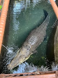 熱川バナナワニ園に投稿された画像（2025/12/30）