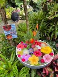 熱川バナナワニ園に投稿された画像（2025/12/30）