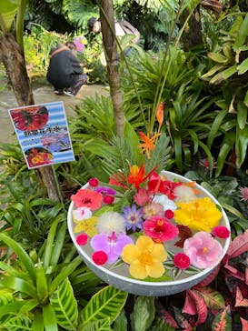 熱川バナナワニ園に投稿された画像（2025/12/30）