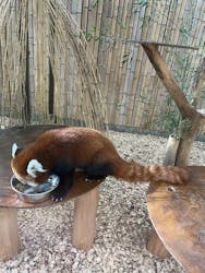 熱川バナナワニ園に投稿された画像（2025/12/30）