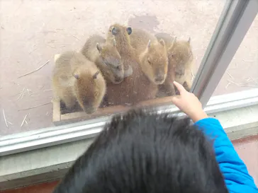 竹島水族館に投稿された画像（2025/12/30）