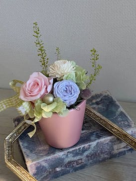 Apertio Floris（アペルティオーフローリス）に投稿された画像（2025/12/30）