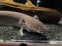 しながわ水族館に投稿された画像（2025/12/30）