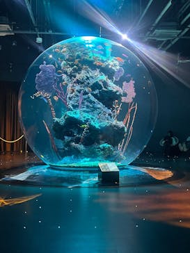 AQUARIUM × ART　atoaに投稿された画像（2025/12/30）