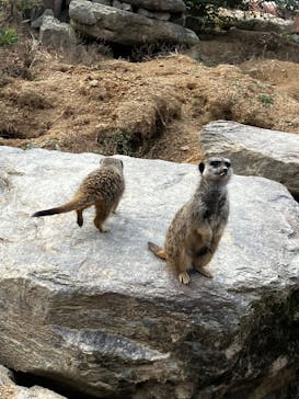 長崎バイオパークに投稿された画像（2025/12/30）