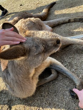 長崎バイオパークに投稿された画像（2025/12/30）