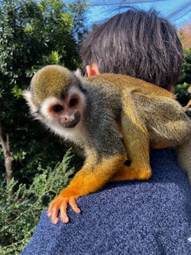 長崎バイオパークに投稿された画像（2025/12/30）