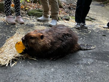 長崎バイオパークに投稿された画像（2025/12/30）