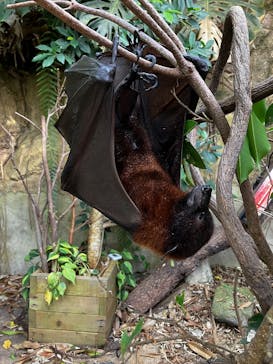 長崎バイオパークに投稿された画像（2025/12/30）