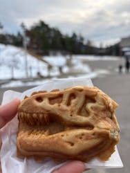 福井県立恐竜博物館に投稿された画像（2025/12/30）