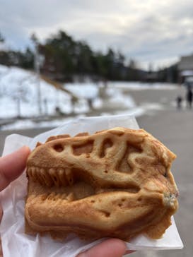 福井県立恐竜博物館に投稿された画像（2025/12/30）