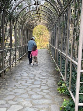 志摩スペイン村パルケエスパーニャに投稿された画像（2025/12/30）