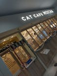 猫カフェモカ　名古屋則武新町店に投稿された画像（2025/12/30）