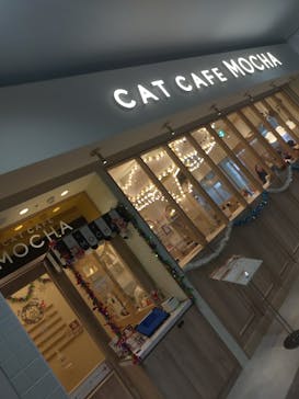猫カフェモカ　名古屋則武新町店に投稿された画像（2025/12/30）