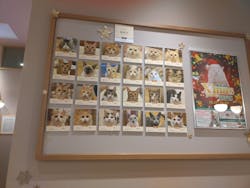 猫カフェモカららぽーと名古屋みなとアクルス店に投稿された画像（2025/12/30）