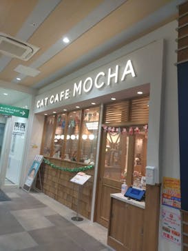 猫カフェモカららぽーと名古屋みなとアクルス店に投稿された画像（2025/12/30）