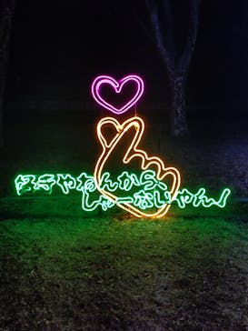 大阪城イルミナージュに投稿された画像（2025/12/30）